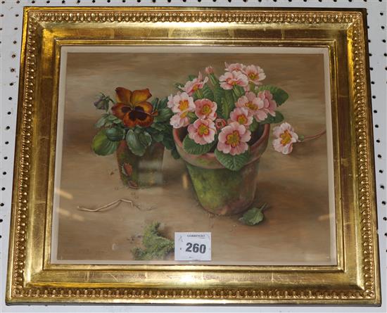 Bunty Miller (20C), oil on board, Pansy and Polyanthus
